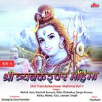Shri Trambakeshwar Mahima Vol. 1 - Raghuveer Yadav Song Download